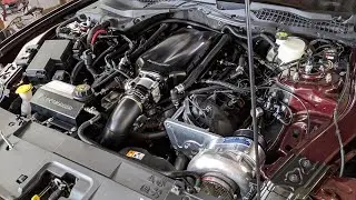 1000+rwhp F1a94 Procharged Mustang GT Insight Series: Procharger Head Unit