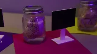 Undergraduate Research at Tarleton State University