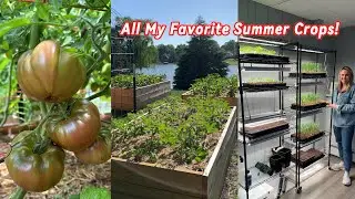 All the Seeds I'm Starting in March - My Favorite Varieties & Tips for Beginner Gardeners