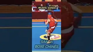 sanda Fighter #sanda #mma #boxechines