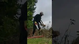 Hedge Removal using only HAND TOOLS #gardening #gardenenthusiasts #gardeningtips