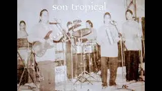son tropical 🎶 esta noche tomaré🎶 vol.2