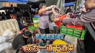 China's most legendary market: hundreds of kilograms of crocodile meat sold on the street, and highl