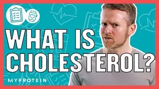 What Is Cholesterol? How Can It Affect Your Health? | Myprotein