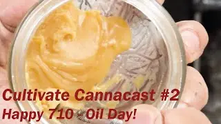 Happy 710 (Oil Day), Dulytek 1005 Clamshell Heat Press & Homemade Shatter! #cannabisdaily #710 #wax