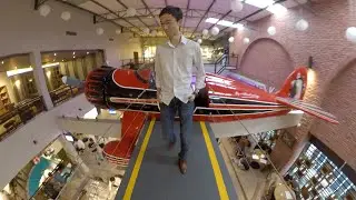 The 