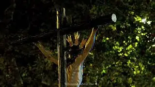 [4K] Revirá del Cachorro a Pastor y Landero. Traslados Magna ida