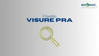 Il Servizio Visure PRA