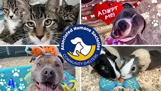 Associated Humane Societies