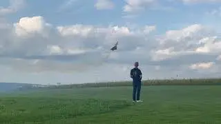 CHENGDU J-10 RC VECTOR THRUST TURBINE @ FSV SCHWARTENBERG PILOTED BY NINO N&Ouml;TZEL