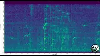 KELȽOLEMEĆEN - SRKW - XELEX&Aacute;ṮEM - 04/23/2025 19:27