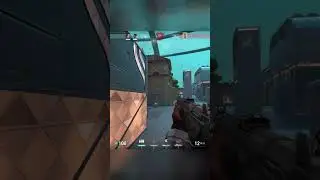 Skye OP? More Like Team-Killer 😂 #valorant  #gaming  #funny