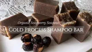 Homemade Natural Shampoo Bar with Organic Soapberry Soap Nut Shampoo / Shampo Lerak Alami