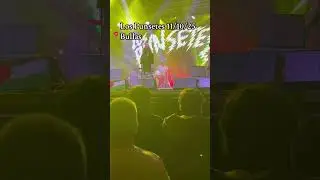 Los Punsetes, Marcelo Criminal y J #viral #indie #punsetes #lospunsetes #grupobullas #viral