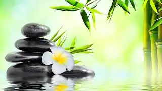LET GO & Feel Free 24/7 💛 Healing Deep Miracle Tones | Raise Positive Vibes | Energy Cleanse Music