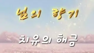 [님의 향기] #해금연주 (가사) - 김경남 #트로트연주