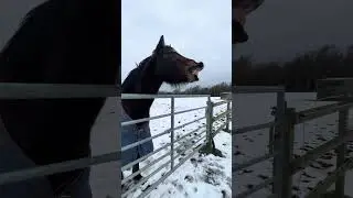 WINTER ENERGY ❄️⛄️Guys they are all ok I will explain more in the comments xx