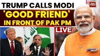 Donald Trump Speech | Trump Praises 'Friend' Modi | Trump's Viral Speech During Egypt Visit