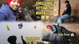KITE FLYING🪁 || CHALLENGE SITTING ON BUFFALO 🐃🤣 ||