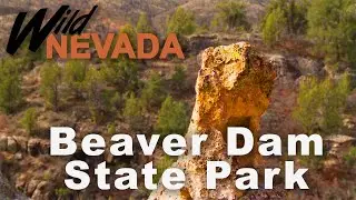 Awesome Rock Formations! | Wild Nevada