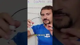 Почему людям трудно плавать как рыба (и что с этим можно сделать)