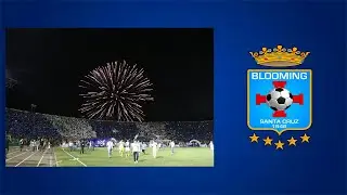 Blooming - Mejores recibimientos