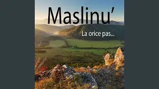 O IUBITA ADUNARE