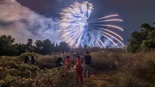 2026年2月1日