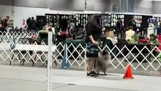 Nox Rally Excellent 1/17/26