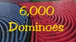 Domino Day 2013 - SOS Technique 6,000 Dominoes