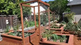 Garden of the Week - Kelly Marshall