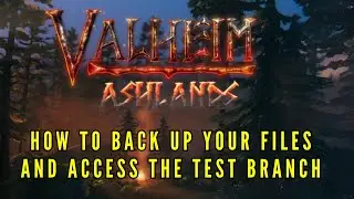 Valheim - How to back up your files and access the public test branch