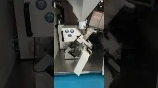 Multi dose machine full automatic tablet capsule vertical packing machine