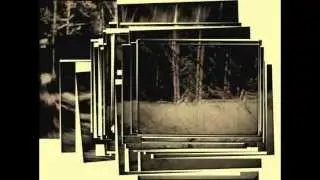 Patterson Gimlin Bigfoot film 1967, the best stabilization of all 5 parts of the film.
