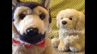 🤎Unboxing Webkinz Signatures🤎🧸 - 2 | Swirly Curl