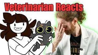 JaidenAnimations' Cat Is Broken? Veterinarian Reacts to Tostada