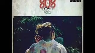 LO-FI 808 by KRYPTIC SAMPLES