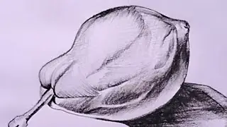 Guava charcoal pencil drawing esay ll how to draw huava pencil drawing for beginners 