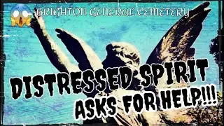 DISTRESSED SPIRIT CALLS OUT FOR HELP!