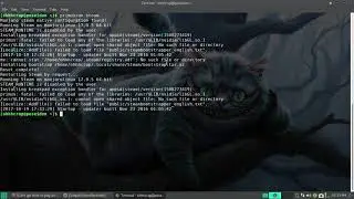 primusrun steam