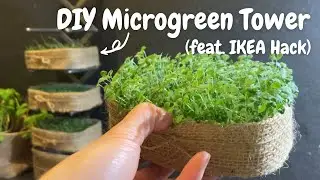 [DIY] 🌱 Microgreen Tower | Self-Watering System | Dream Urban Farm | Ikea Hack