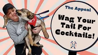 Cocktails & Canines: Second City Rescue, Second Chances!