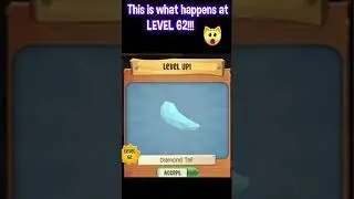 This Is What Happens At LEVEL 62 in Animal Jam  #animaljam #ajpw