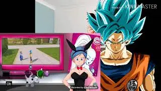 Bulma Bunny First Video Reaction