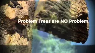 Tree Masters TN - (615) 568-7258 - TreeMastersTN.com