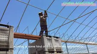 Gothic Greenhouses Tropical hydroponic growing Multi-span greenhouses tomato sawtooth green house
