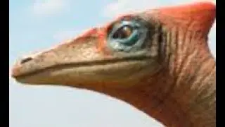 Early Ornithomimid Theropods: Nqwebasaurus and Pelecanimimus