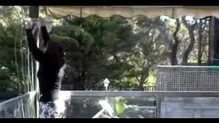 Versaline Slimline Clothesline Installation Video - Install Versaline Clothes Line