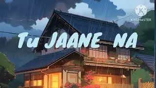 Tu Jaane Na Lyrical - with lofi song  #bolleywoodsong #lufisong #tipsofficial 