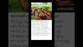 #shorts #telugu #trending #tollywoodnews #gossips #news #youtubeshorts #facts #devara  #movie #ntr
